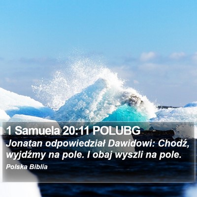 1 Samuela 20:11 POLUBG Bible Verse Image