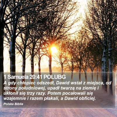 1 Samuela 20:41 POLUBG Bible Verse Image