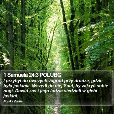 1 Samuela 24:3 POLUBG Bible Verse Image