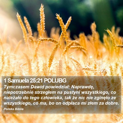 1 Samuela 25:21 POLUBG Bible Verse Image