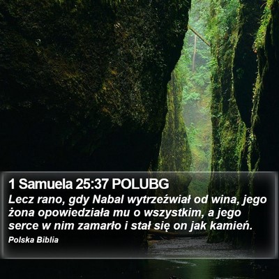 1 Samuela 25:37 POLUBG Bible Verse Image