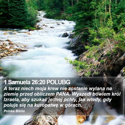 1 Samuela 26:20 POLUBG Bible Verse Image