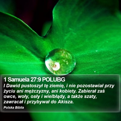 1 Samuela 27:9 POLUBG Bible Verse Image