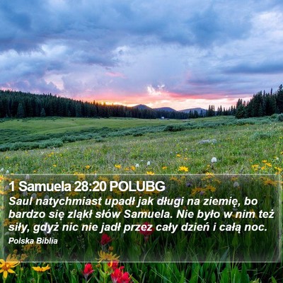 1 Samuela 28:20 POLUBG Bible Verse Image