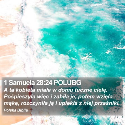 1 Samuela 28:24 POLUBG Bible Verse Image