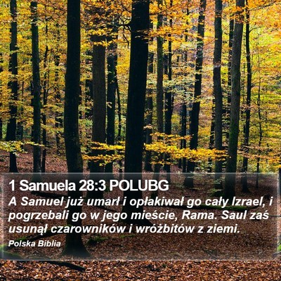 1 Samuela 28:3 POLUBG Bible Verse Image