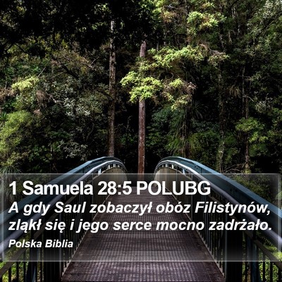 1 Samuela 28:5 POLUBG Bible Verse Image
