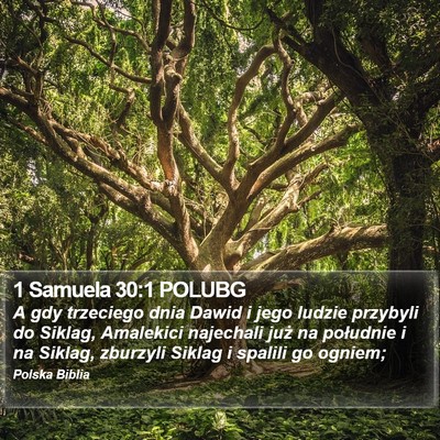 1 Samuela 30:1 POLUBG Bible Verse Image