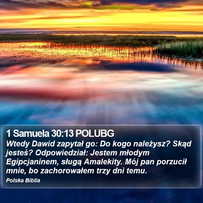 1 Samuela 30:13 POLUBG Bible Verse Image
