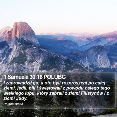 1 Samuela 30:16 POLUBG Bible Verse Image