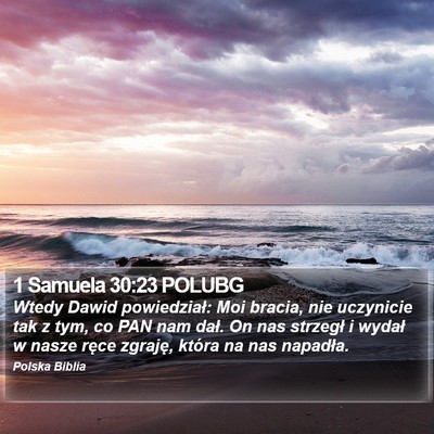 1 Samuela 30:23 POLUBG Bible Verse Image