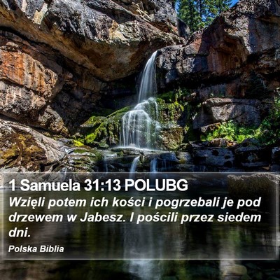 1 Samuela 31:13 POLUBG Bible Verse Image