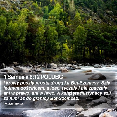 1 Samuela 6:12 POLUBG Bible Verse Image