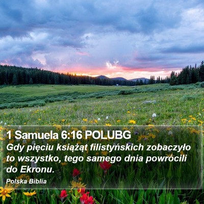 1 Samuela 6:16 POLUBG Bible Verse Image