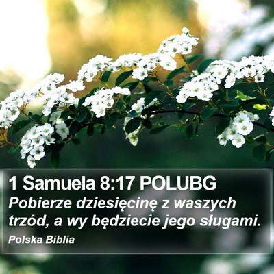 1 Samuela 8:17 POLUBG Bible Verse Image