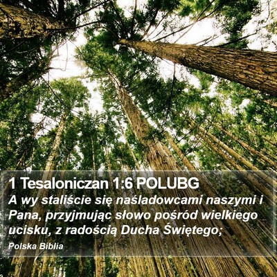 1 Tesaloniczan 1:6 POLUBG Bible Verse Image