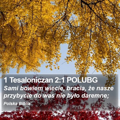 1 Tesaloniczan 2:1 POLUBG Bible Verse Image