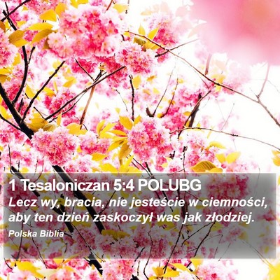 1 Tesaloniczan 5:4 POLUBG Bible Verse Image