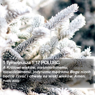 1 Tymoteusza 1:17 POLUBG Bible Verse Image