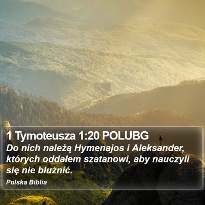 1 Tymoteusza 1:20 POLUBG Bible Verse Image