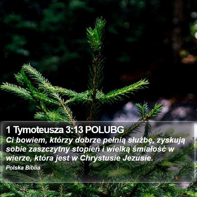 1 Tymoteusza 3:13 POLUBG Bible Verse Image