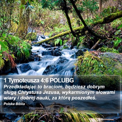 1 Tymoteusza 4:6 POLUBG Bible Verse Image