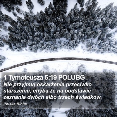 1 Tymoteusza 5:19 POLUBG Bible Verse Image