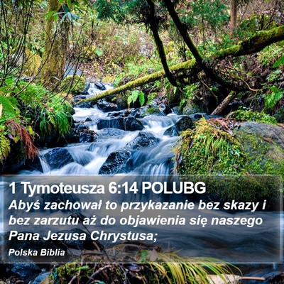 1 Tymoteusza 6:14 POLUBG Bible Verse Image