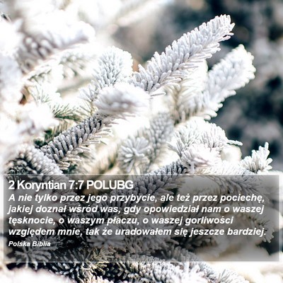 2 Koryntian 7:7 POLUBG Bible Verse Image