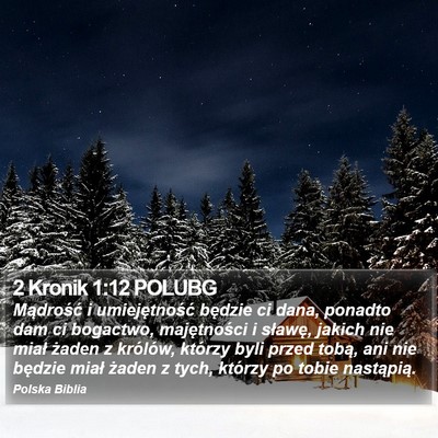 2 Kronik 1:12 POLUBG Bible Verse Image
