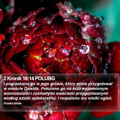 2 Kronik 16:14 POLUBG Bible Verse Image