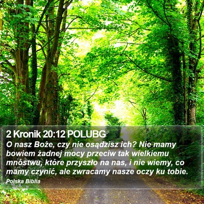 2 Kronik 20:12 POLUBG Bible Verse Image