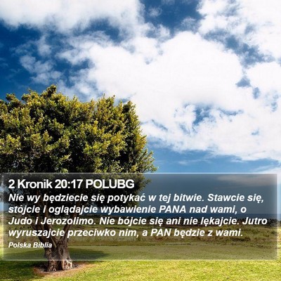 2 Kronik 20:17 POLUBG Bible Verse Image