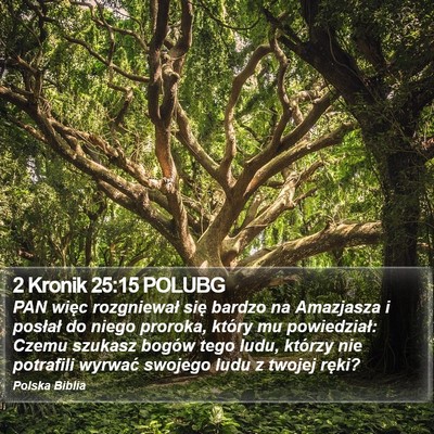 2 Kronik 25:15 POLUBG Bible Verse Image