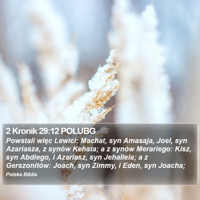 2 Kronik 29:12 POLUBG Bible Verse Image