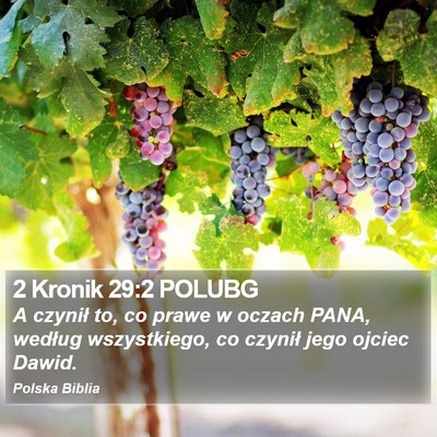 2 Kronik 29:2 POLUBG Bible Verse Image