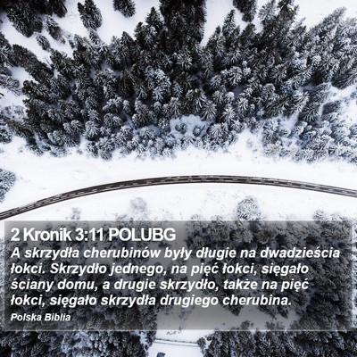 2 Kronik 3:11 POLUBG Bible Verse Image