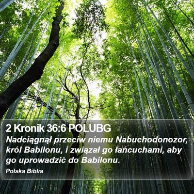 2 Kronik 36:6 POLUBG Bible Verse Image