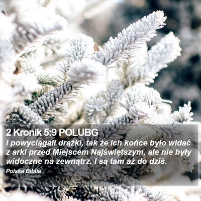 2 Kronik 5:9 POLUBG Bible Verse Image