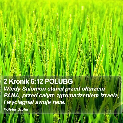 2 Kronik 6:12 POLUBG Bible Verse Image
