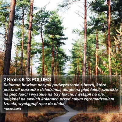 2 Kronik 6:13 POLUBG Bible Verse Image