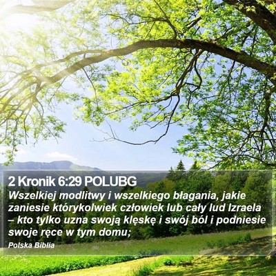 2 Kronik 6:29 POLUBG Bible Verse Image
