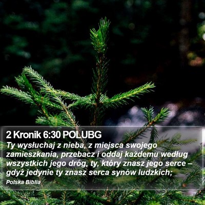 2 Kronik 6:30 POLUBG Bible Verse Image