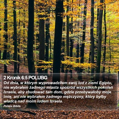 2 Kronik 6:5 POLUBG Bible Verse Image