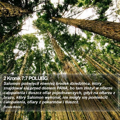 2 Kronik 7:7 POLUBG Bible Verse Image