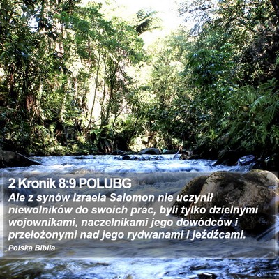 2 Kronik 8:9 POLUBG Bible Verse Image