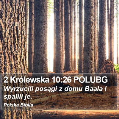 2 Królewska 10:26 POLUBG Bible Verse Image