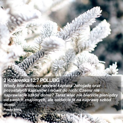 2 Królewska 12:7 POLUBG Bible Verse Image