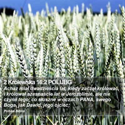 2 Królewska 16:2 POLUBG Bible Verse Image