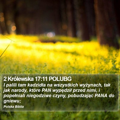 2 Królewska 17:11 POLUBG Bible Verse Image